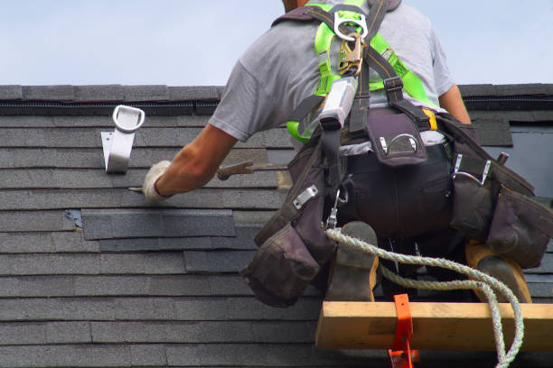 Best Metal Roofing Installation  in Park City, MT