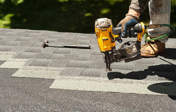 Best Gutter Installation and Repair  in Park City, MT