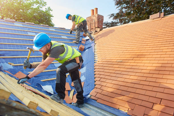 Roof Coating Services in Park City, MT